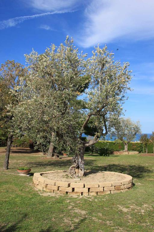 Villa Dolcevita San Costanzo Exteriör bild